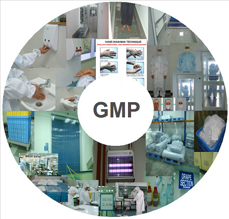 Безопасность лекарственных средств и стандарты GМP