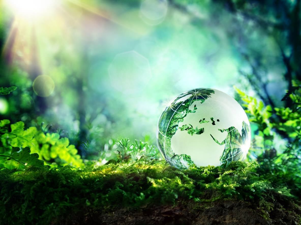 Moscow Poly Students Invited to Take Part in Ecological Campaign