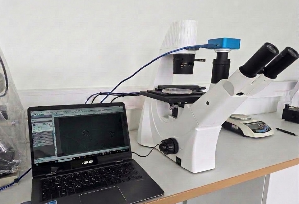 Moscow Polytech Develops New Biosensitive Materials for Disease Diagnostics