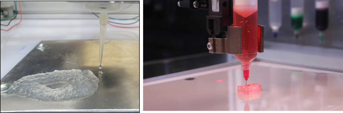 Научный проект «Технология 3D-биопечати на основе гидрогелевых систем».PNG