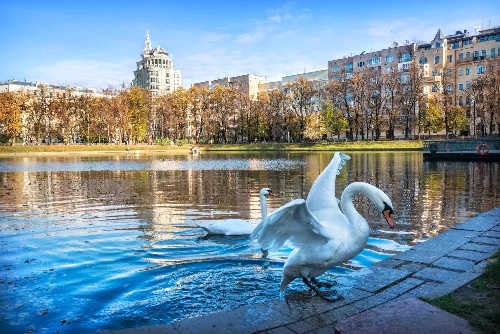 Двор Булгаковского музея + Патриаршие пруды .jpg