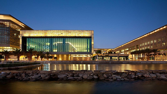 Университет KAUST (King Abdullah University of Science and Technology, Саудовская Аравия) приглашает студентов принять участие в программе исследовательской программе для иностранных студентов VSRP